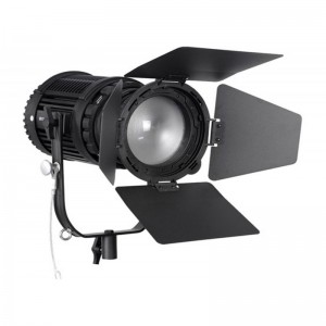 NANLITE Fresnel 100W